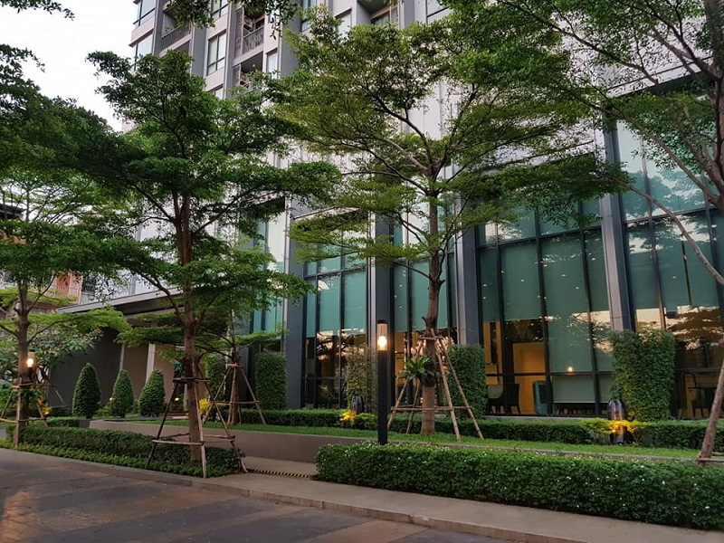 Condo-Q-House-Sukhumvit-79